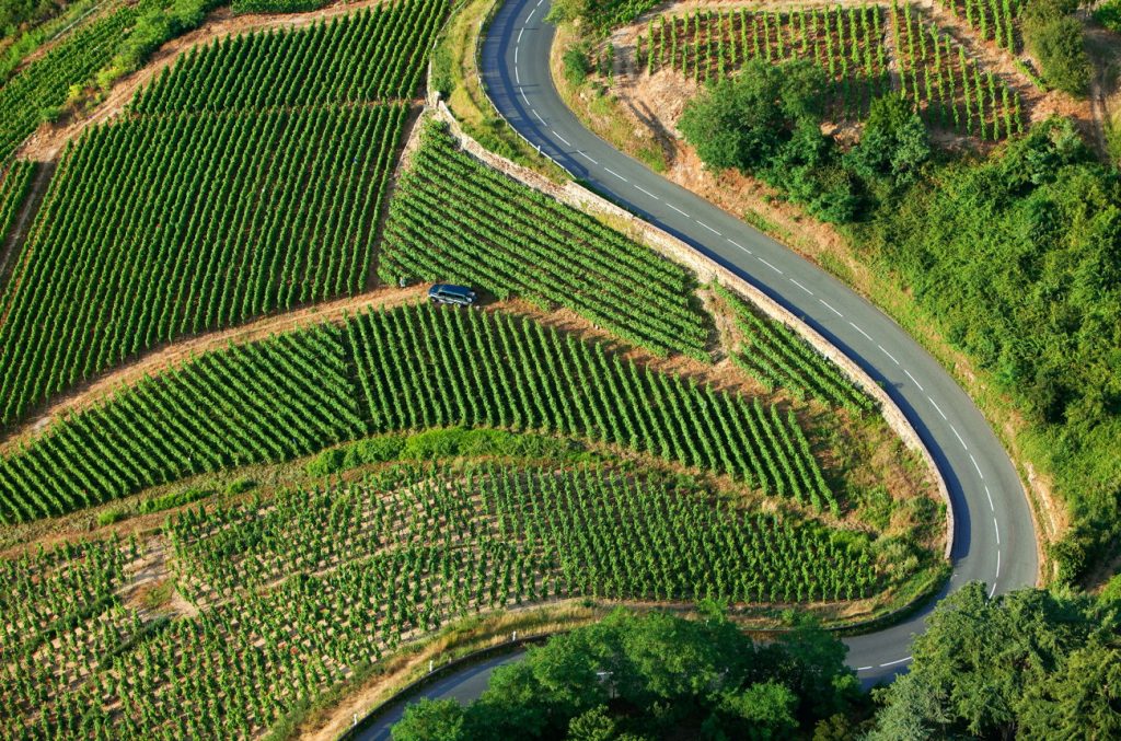 Côte-Rôtie & Condrieu 2023: Report and top-scoring wines