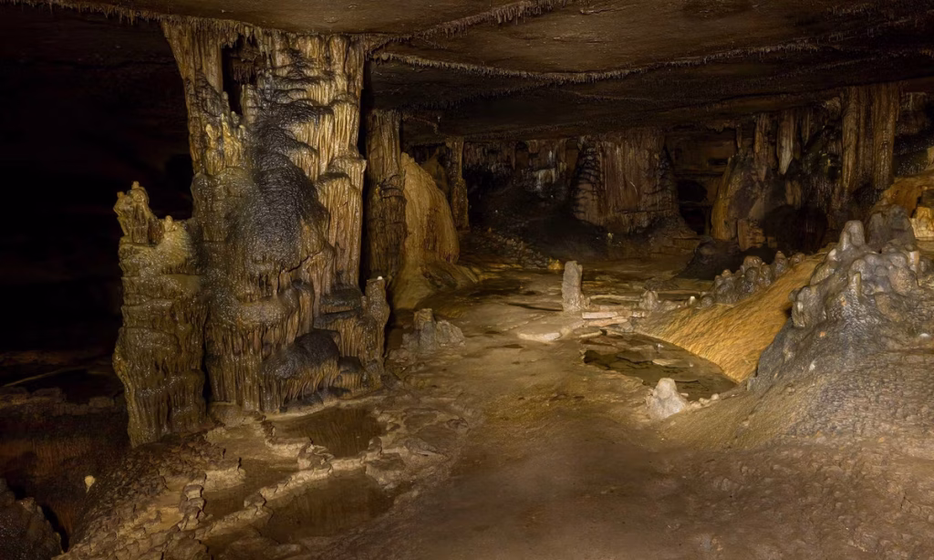 Protecting North America’s oldest cave art after an historic flood raised new alarms – The Art Newspaper