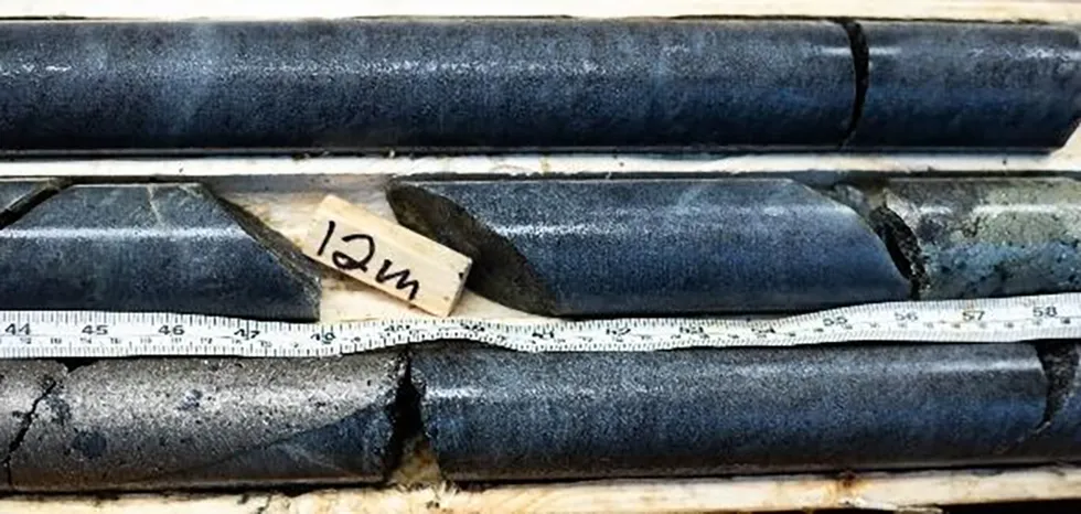 Samples from Ni-Co Energy's drilling at Kremer project