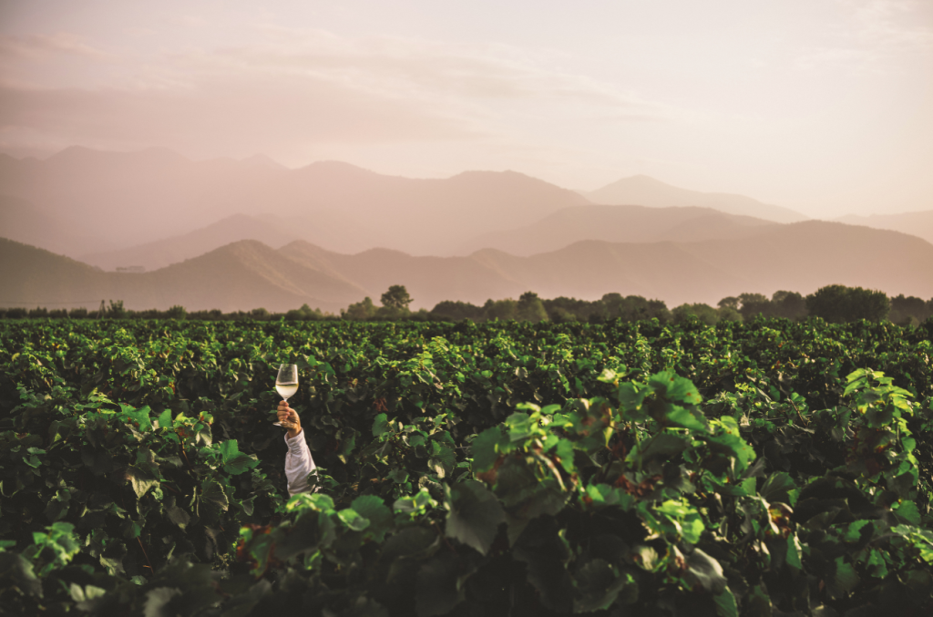 Decanter World Wine Awards 2026 entries now open: Recognition that delivers results