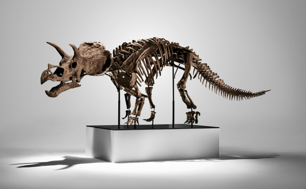 Phillips Takes $54 M. from Modern and Contemporary Sale, Bonhams on the Move, Demand for Female Photographers Rising: Morning Links for November 20, 2025