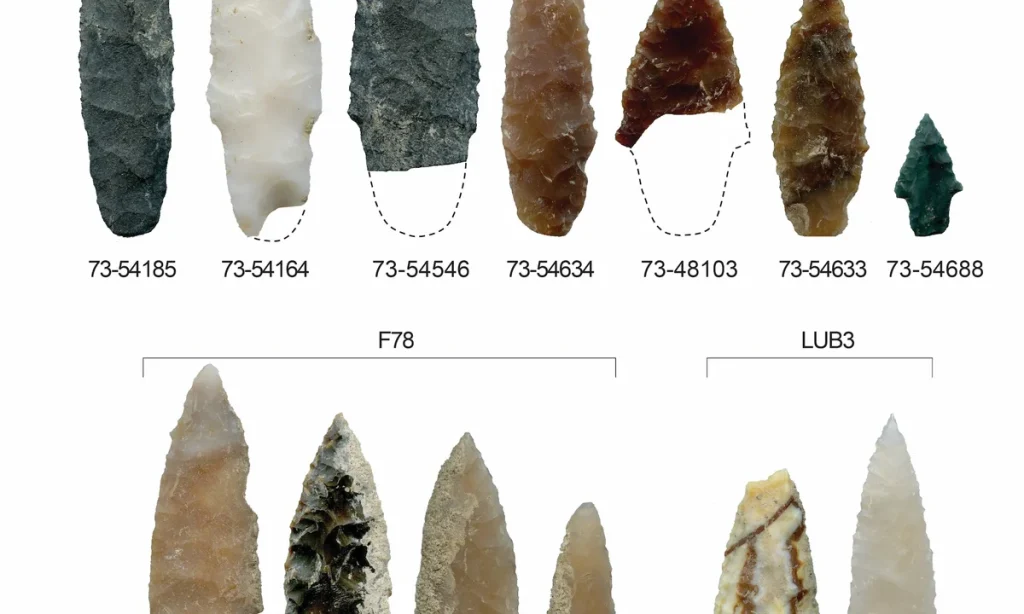 First Americans may have sailed from north-east Asia – The Art Newspaper