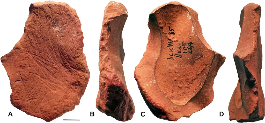 Neanderthals May Have Created Ochre Tools for Drawing, New Study Finds