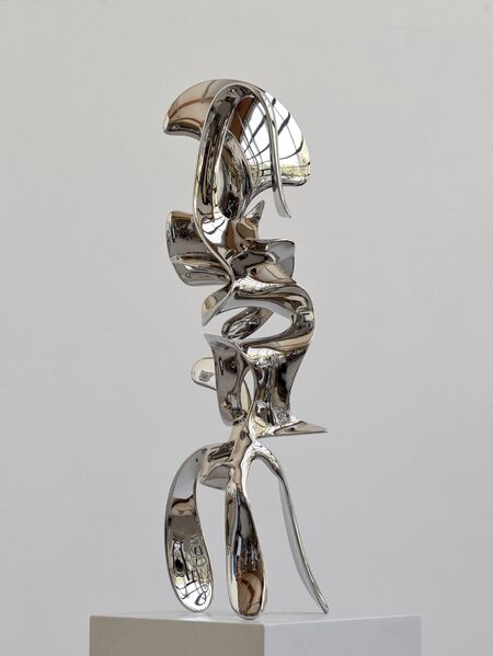 Tony Cragg, ‘Incident’, 2022, Sculpture, Stainless steel, Thaddaeus Ropac