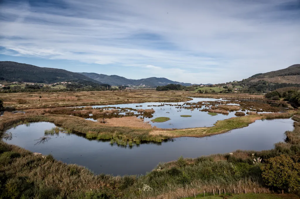 Guggenheim Bilbao Scraps Biosphere Expansion Amid Local Opposition