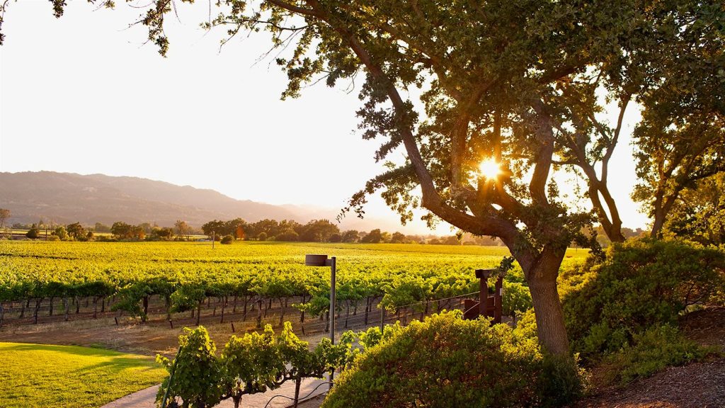 SND: Trinchero To Acquire Mumm Napa From Pernod Ricard