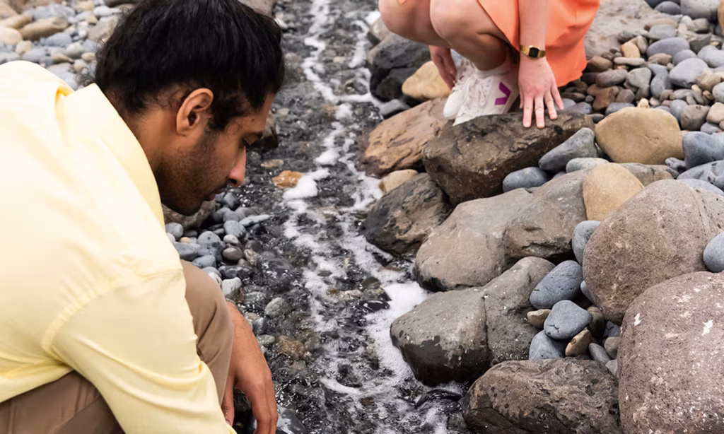 Comment | In worrying times for politics and the environment, art can still provide hope – The Art Newspaper