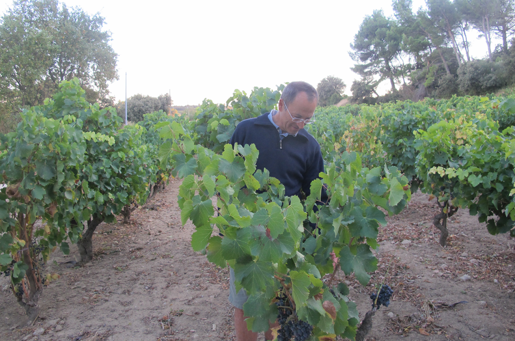 Château Rayas: The enduring winemaking mysteries behind this Rhône icon