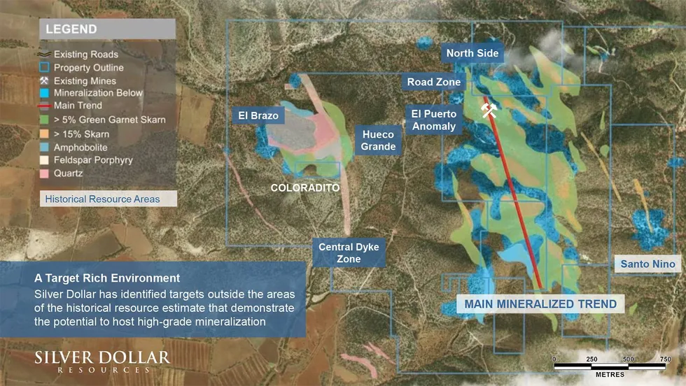 u200bSilver Dollar Resources - La Joya plan view