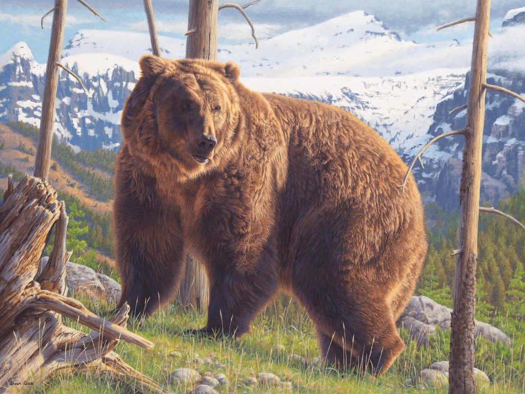 Where Detail Meets Atmosphere: Shawn Gould’s Nature Paintings