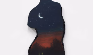 Our pick of the best museum and gallery shows to see in Chicago this spring – The Art Newspaper