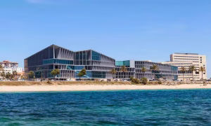 Art Cologne heads to the beach with revived Mallorca edition – The Art Newspaper