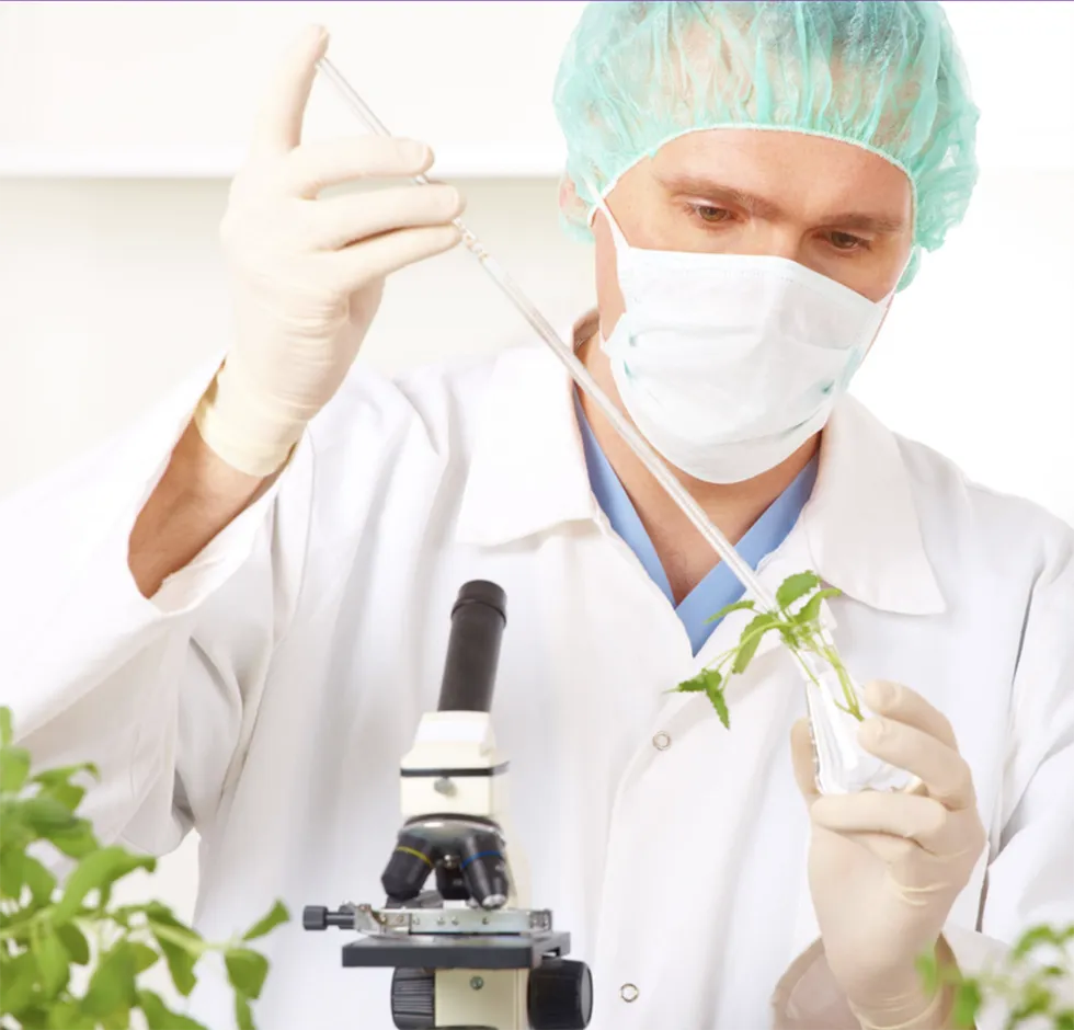 Lexaria Bioscience scientist in protective gear uses a pipette near plants and a microscope.
