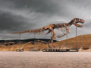 Sotheby’s $30 M. T. rex Is Further Evidence That Dinosaurs Are Becoming the Ultimate Trophy Object for the Ultra-Wealthy