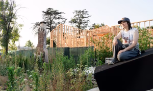 Kelly Akashi and friends celebrate Altadena’s resilience after Los Angeles wildfires – The Art Newspaper