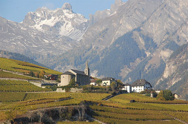 Vineyards in Valais, Switzerland