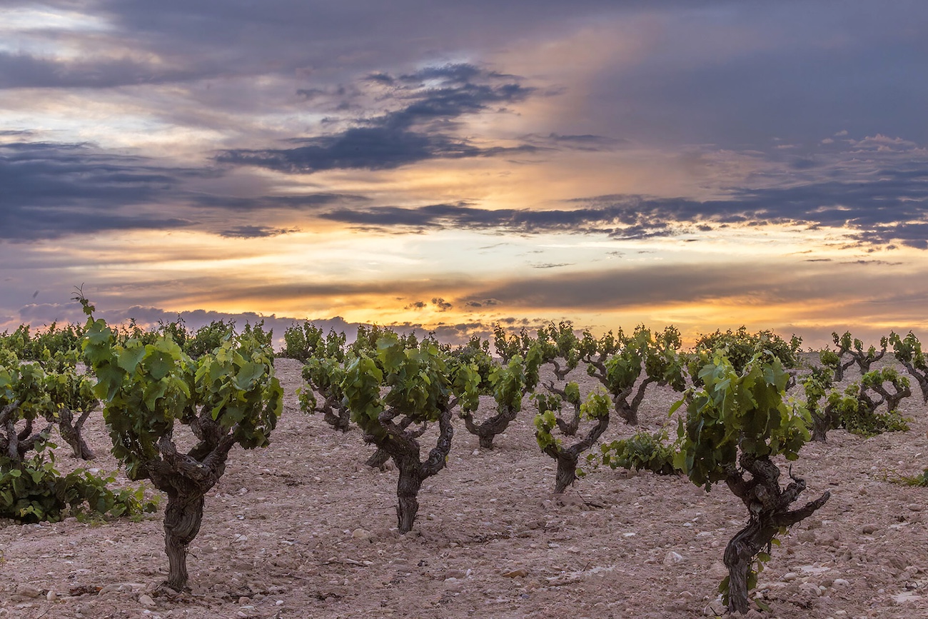 Jumilla Spain