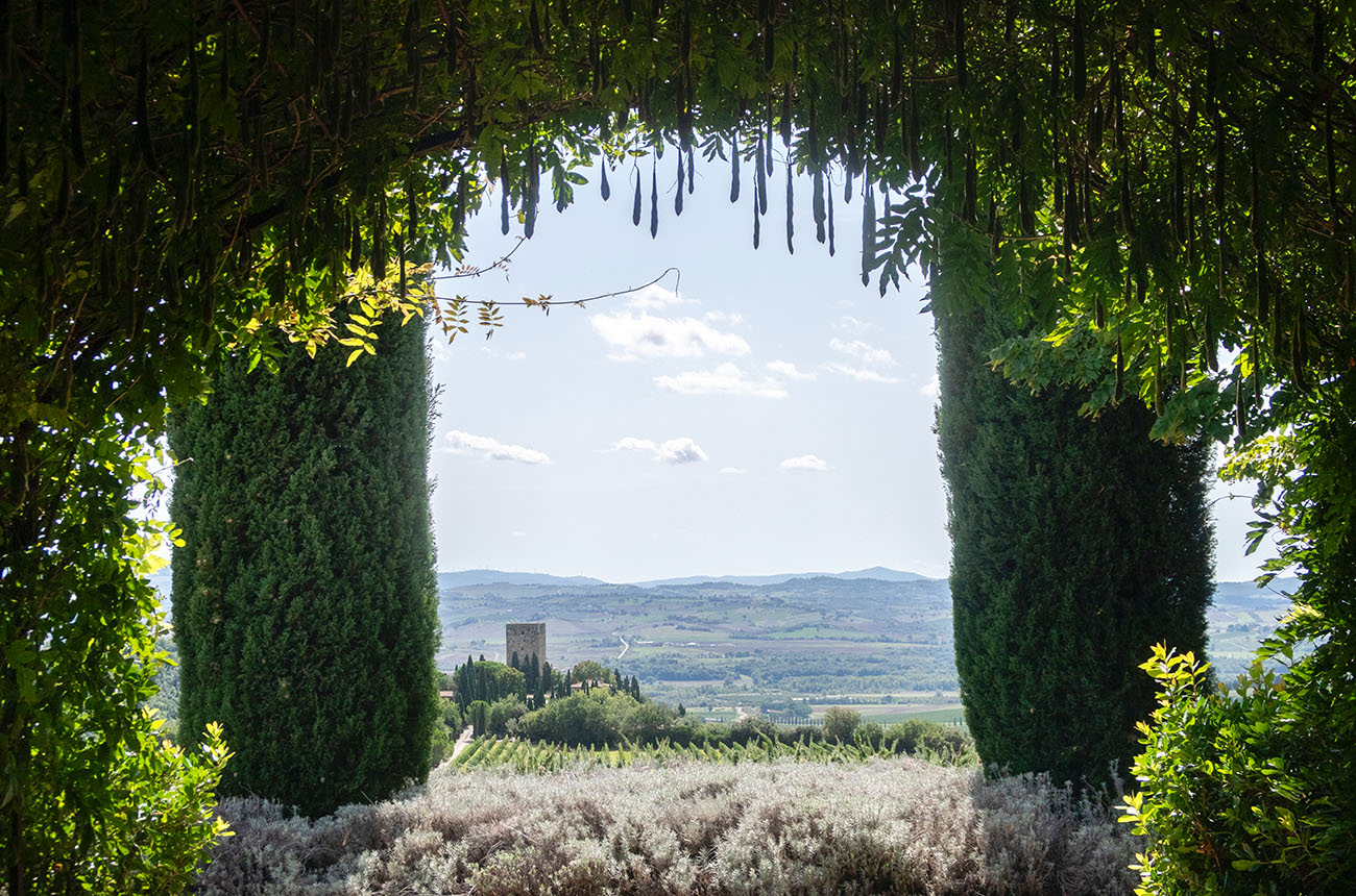 Brunello di Montalcino 2021