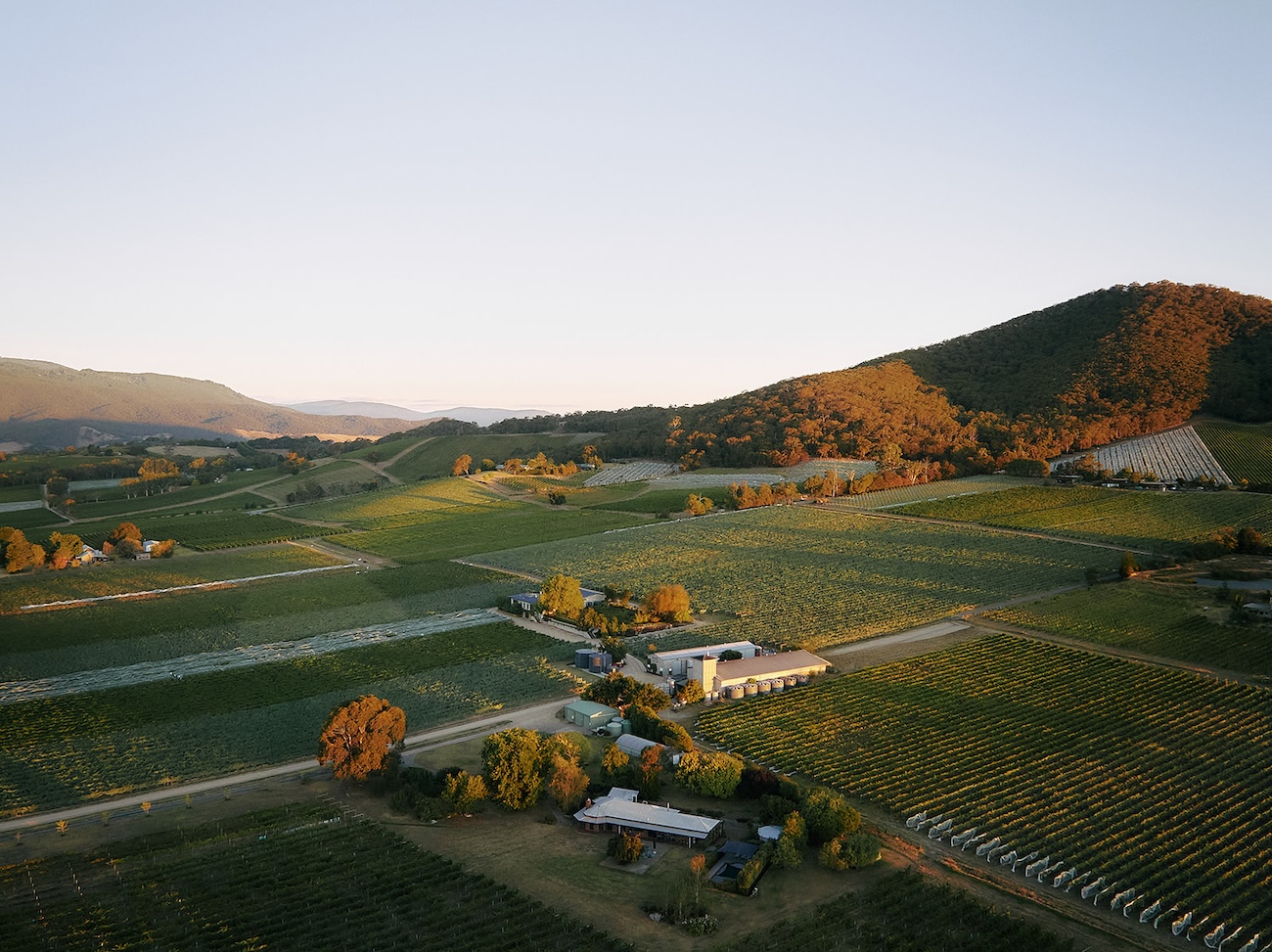 A view of Yarra Yering winery and vineyards