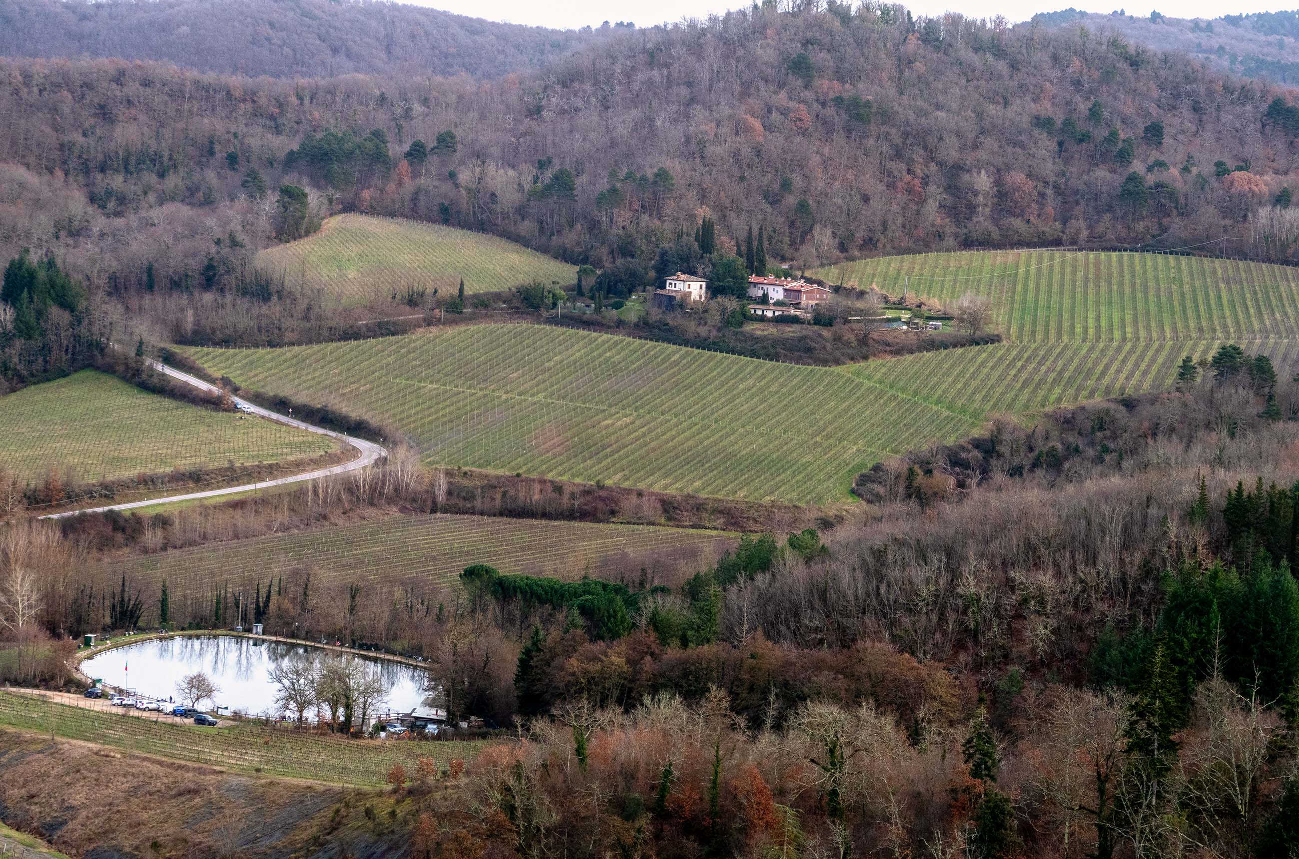 Castello di Querceto vineyards in Greve_credit Michaela Morris