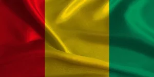 Guinea Bans Raw Gold Exports to Force Domestic Refining