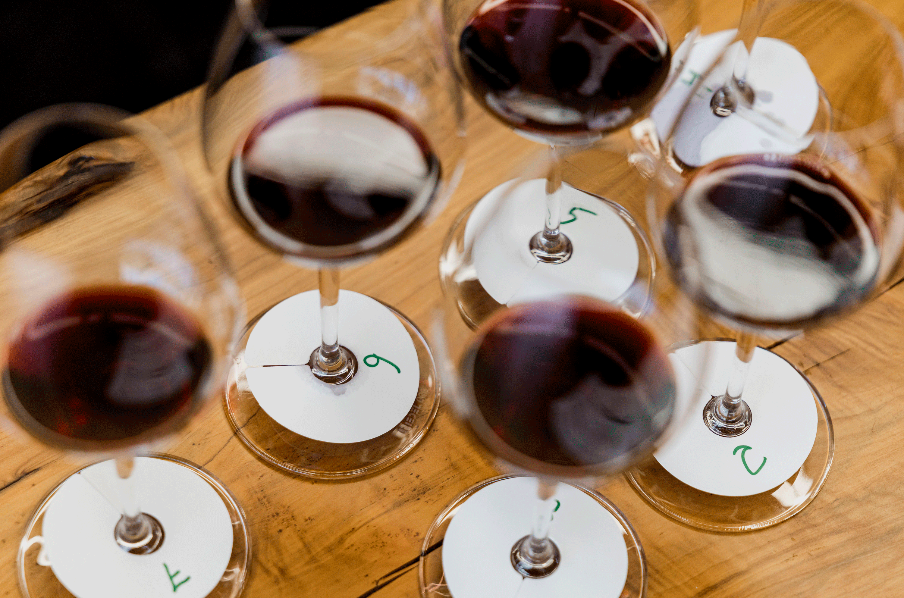A flight of red wines about to be tasted bind for the Rioja Report 2026