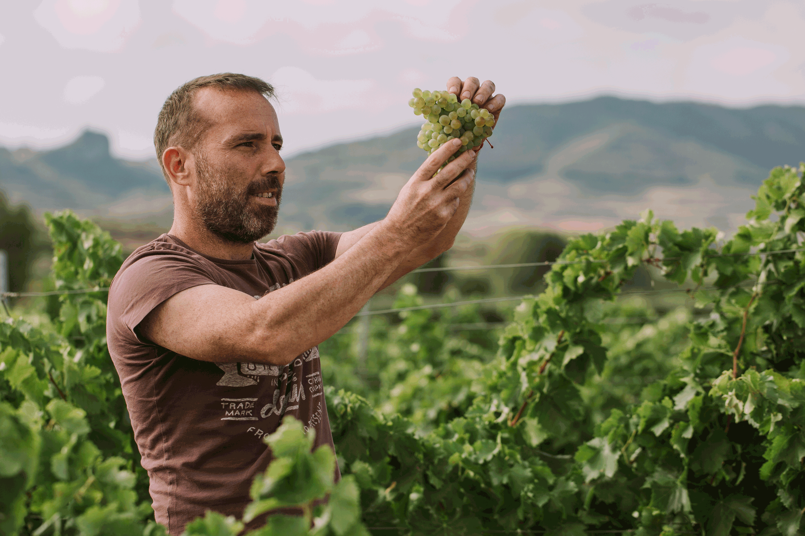 Rioja grower and winemaker Victor Ausejo