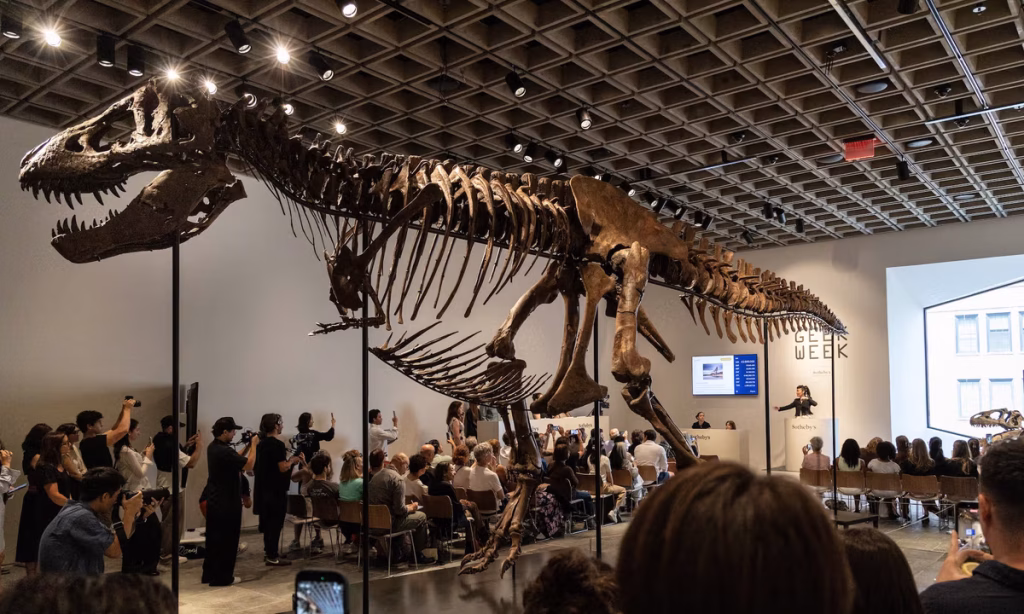 Gus the T-Rex sells for a record $50.1m at Sotheby’s – The Art Newspaper