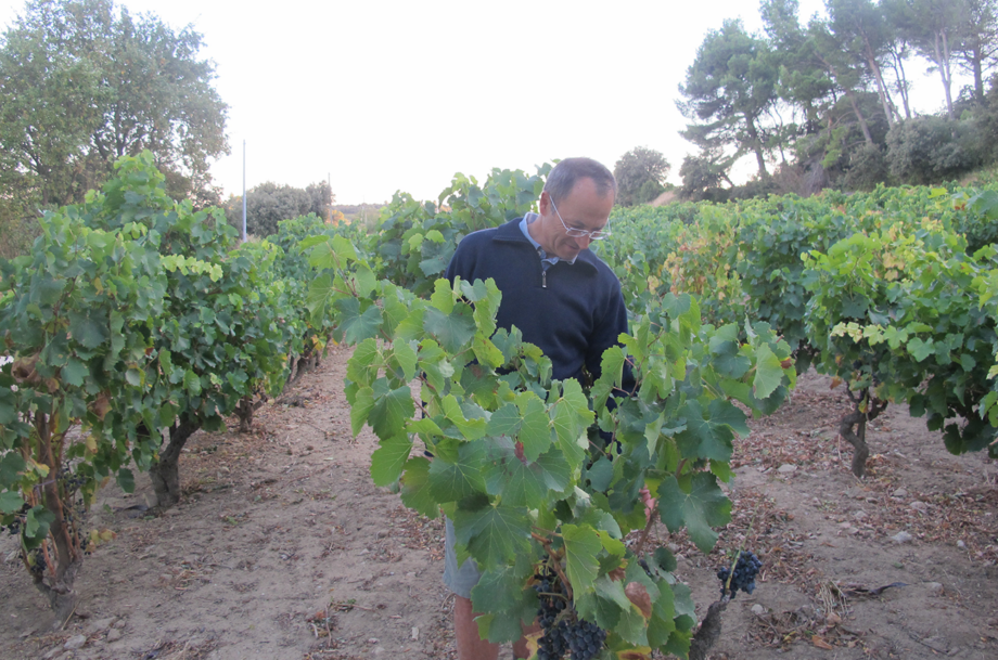 Château Rayas