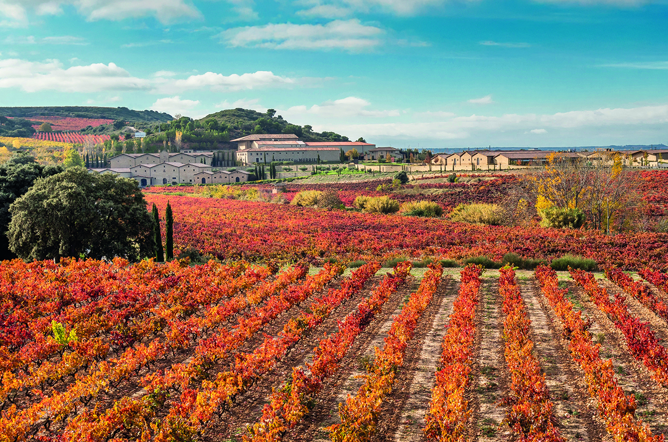 Marqués de Murrieta vineyards