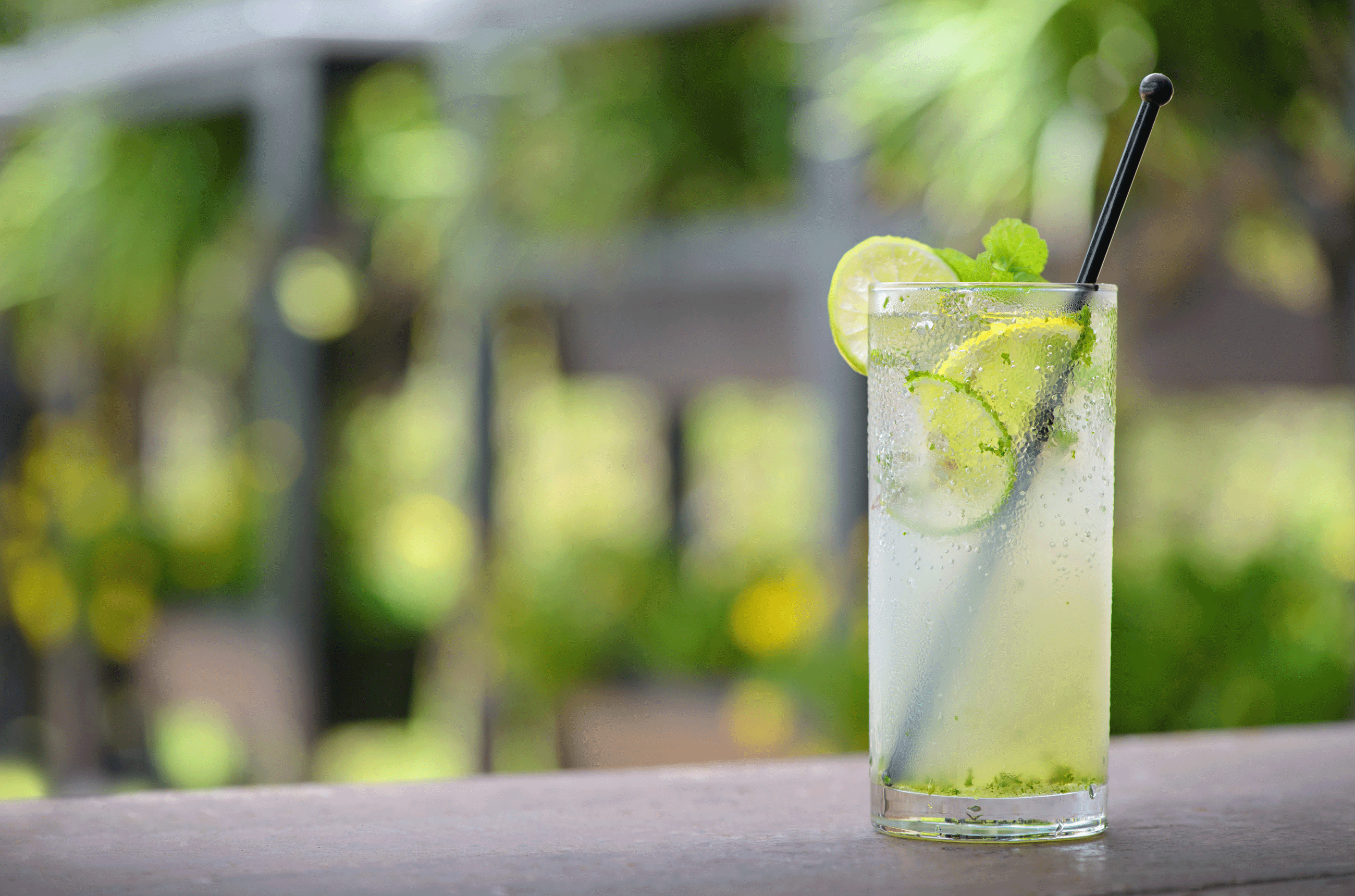 Mojito Cocktail