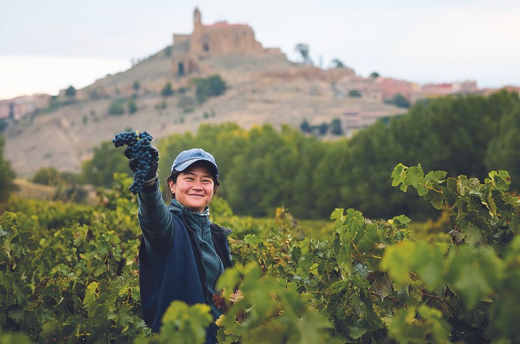 Viticultores Independientes de Rioja: Obsessed with terroir