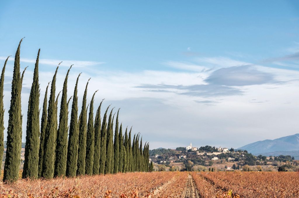 My seven favourite producers in Cairanne