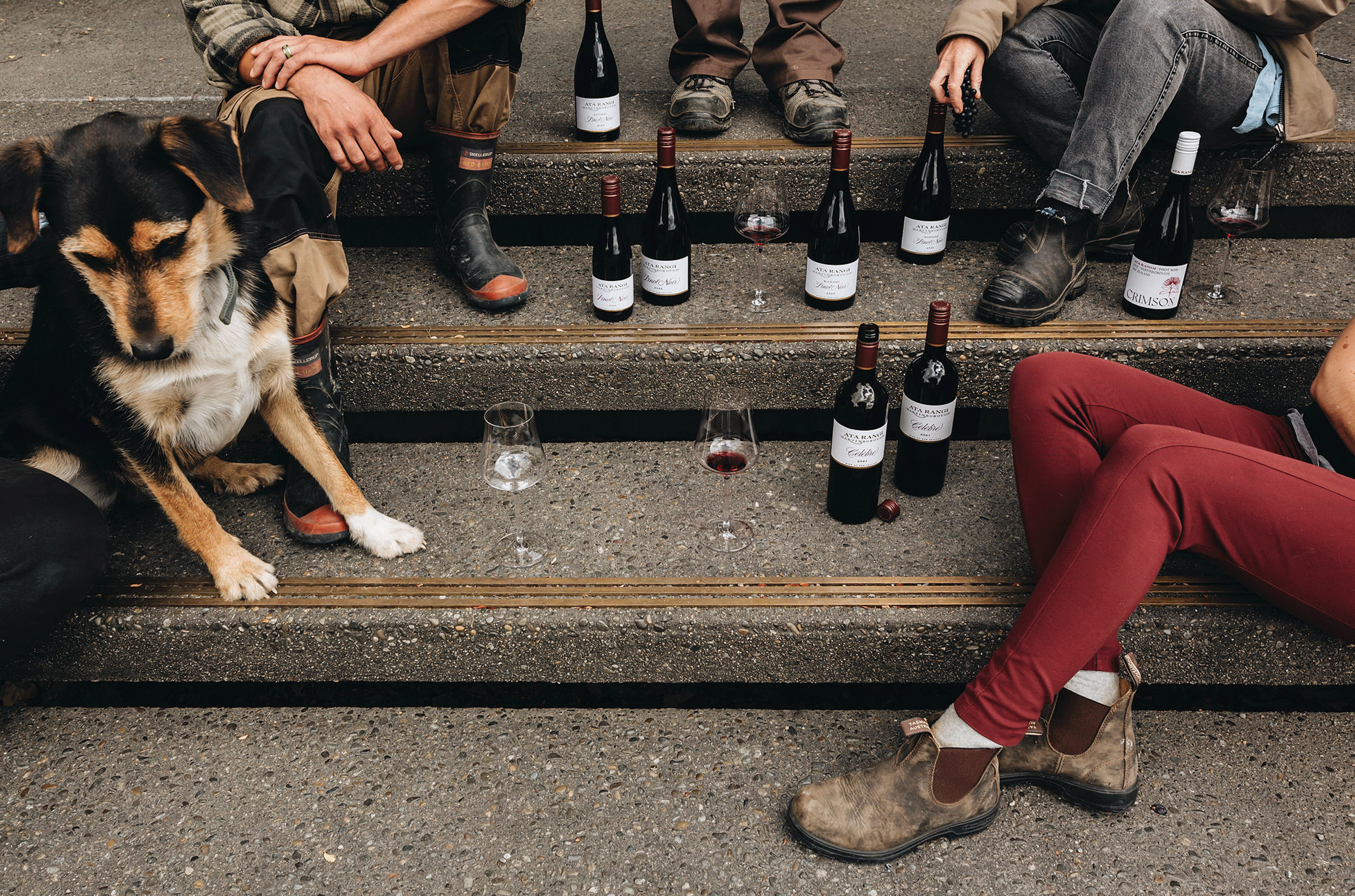 Ata Rangi Wine Room Steps