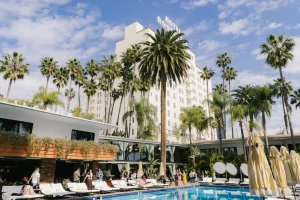 Felix Art Fair Overhauls Its Format, Emphasizing Solo, Two-Artist Booths and Poolside Experience