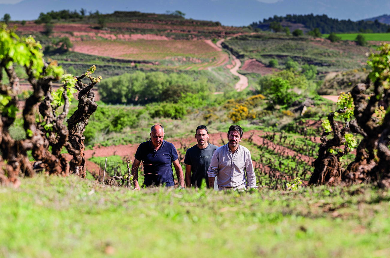 Richi Arambarri Perez, Fernando García Navaridas and Raúl García Acha in a vineyard