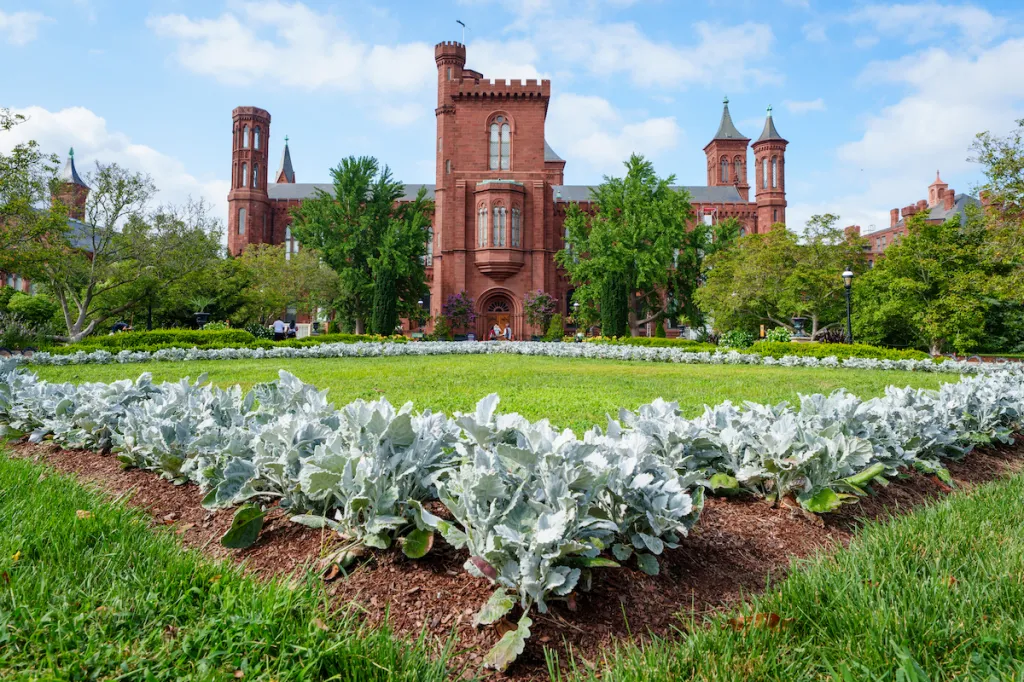 White House Report Claims Smithsonian Museum ‘Erases’ Heritage, Another Jewelry Heist at a French Museum, and More: Morning Links for July 6, 2026