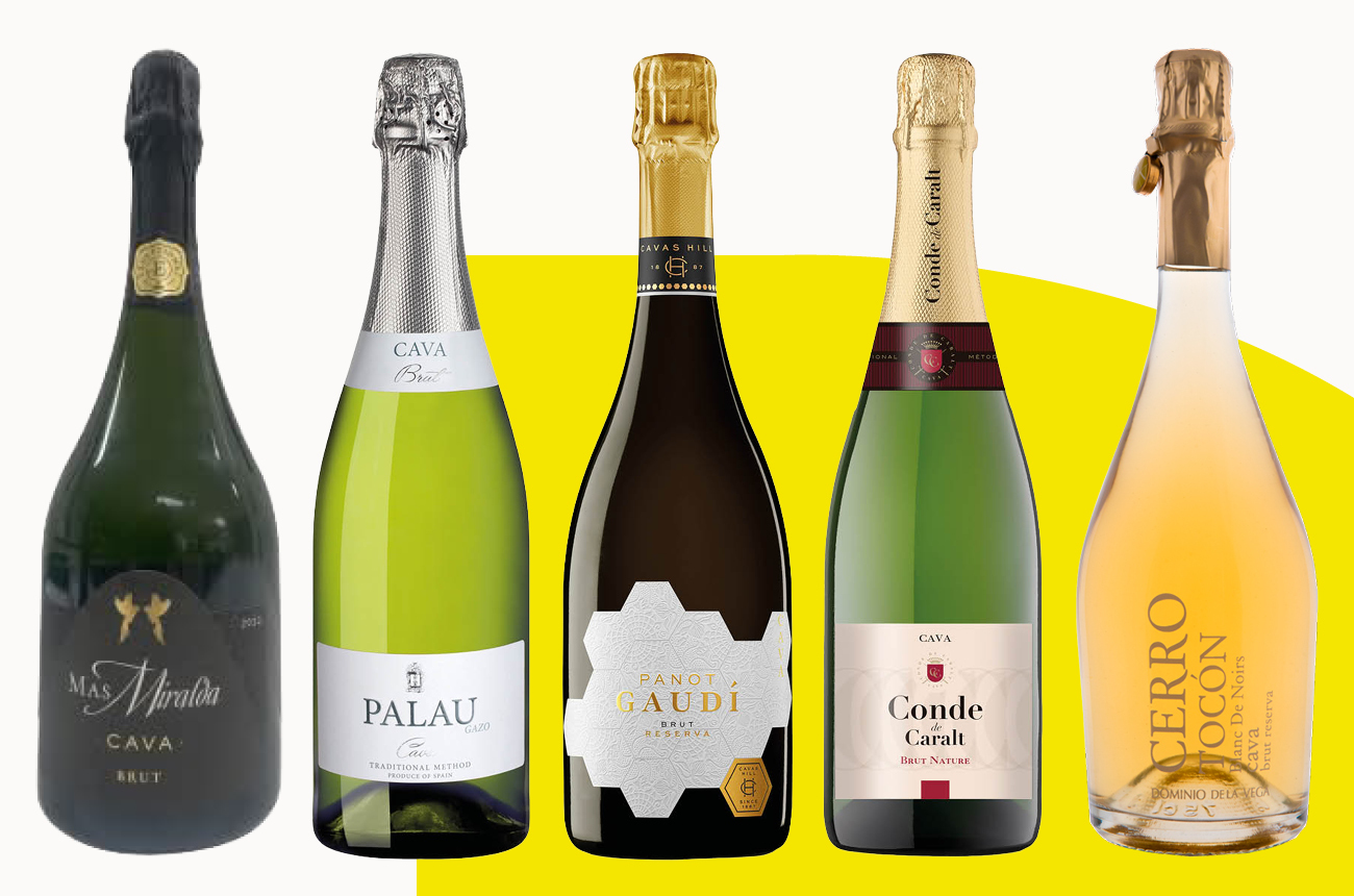 CAVA DAY