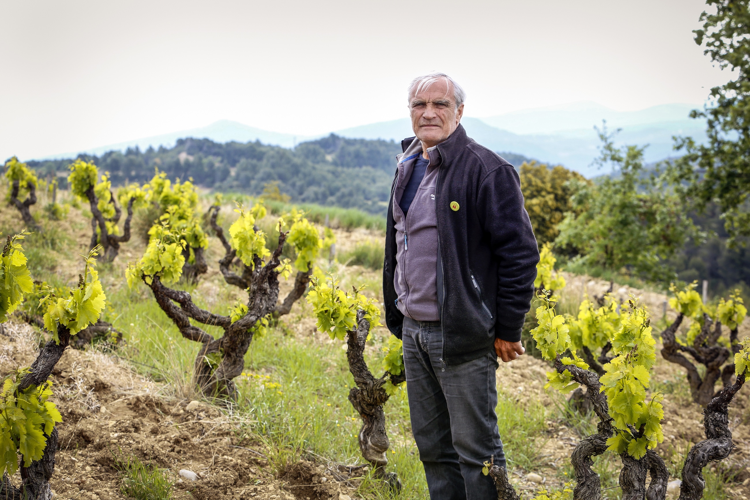 Domaine Richaud