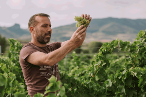 Rioja Report 2026: Five producers at the top of their game