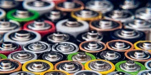 CATL Buys Stake in CarbonScape to Scale Forestry-Based Battery Graphite