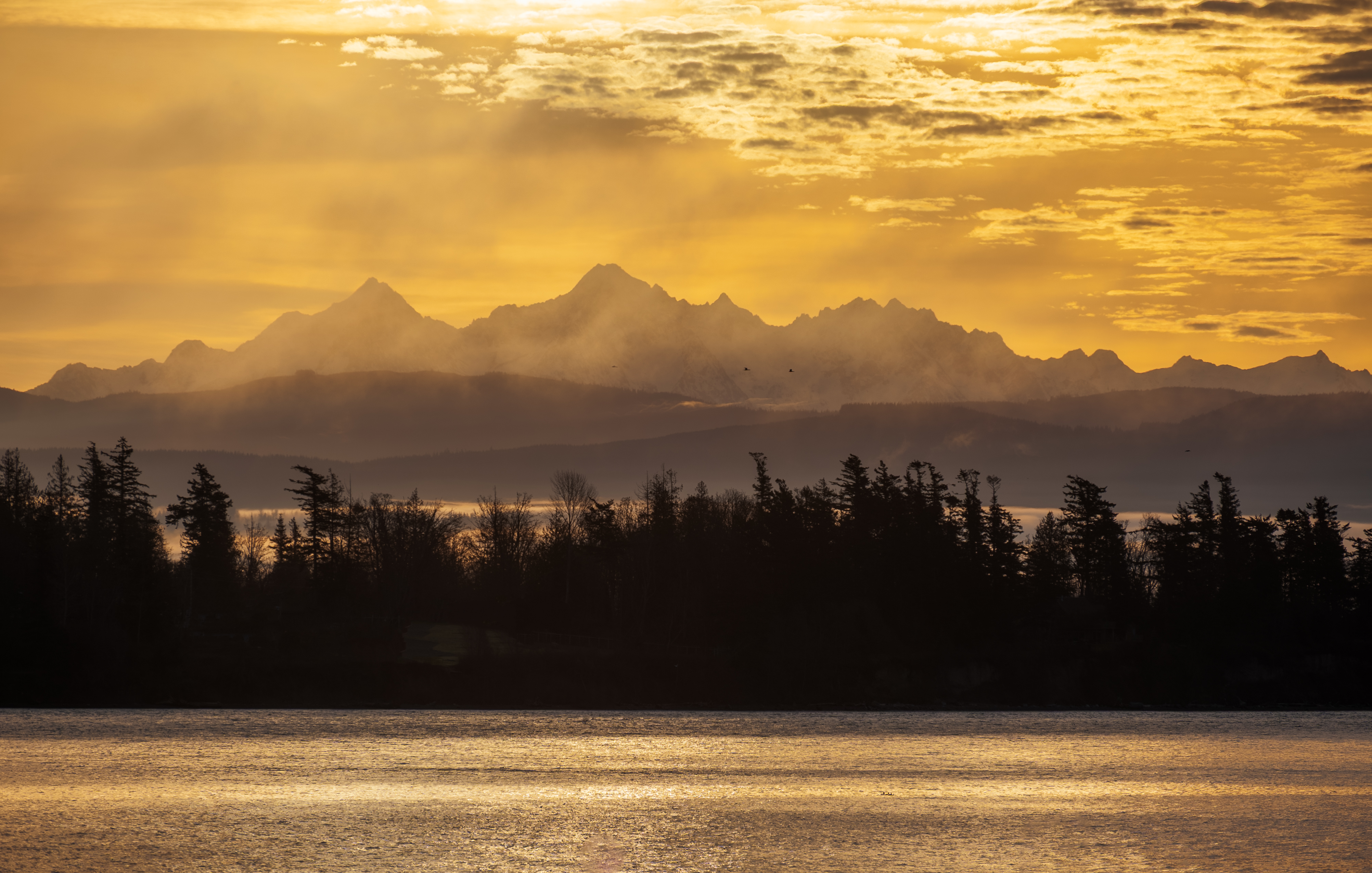 Puget Sound AVA
