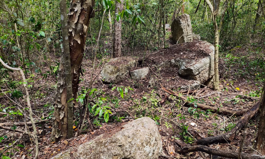 Undisturbed ancient Maya city discovered in Mexican jungle – The Art Newspaper