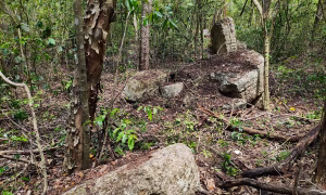 Undisturbed ancient Maya city discovered in Mexican jungle – The Art Newspaper