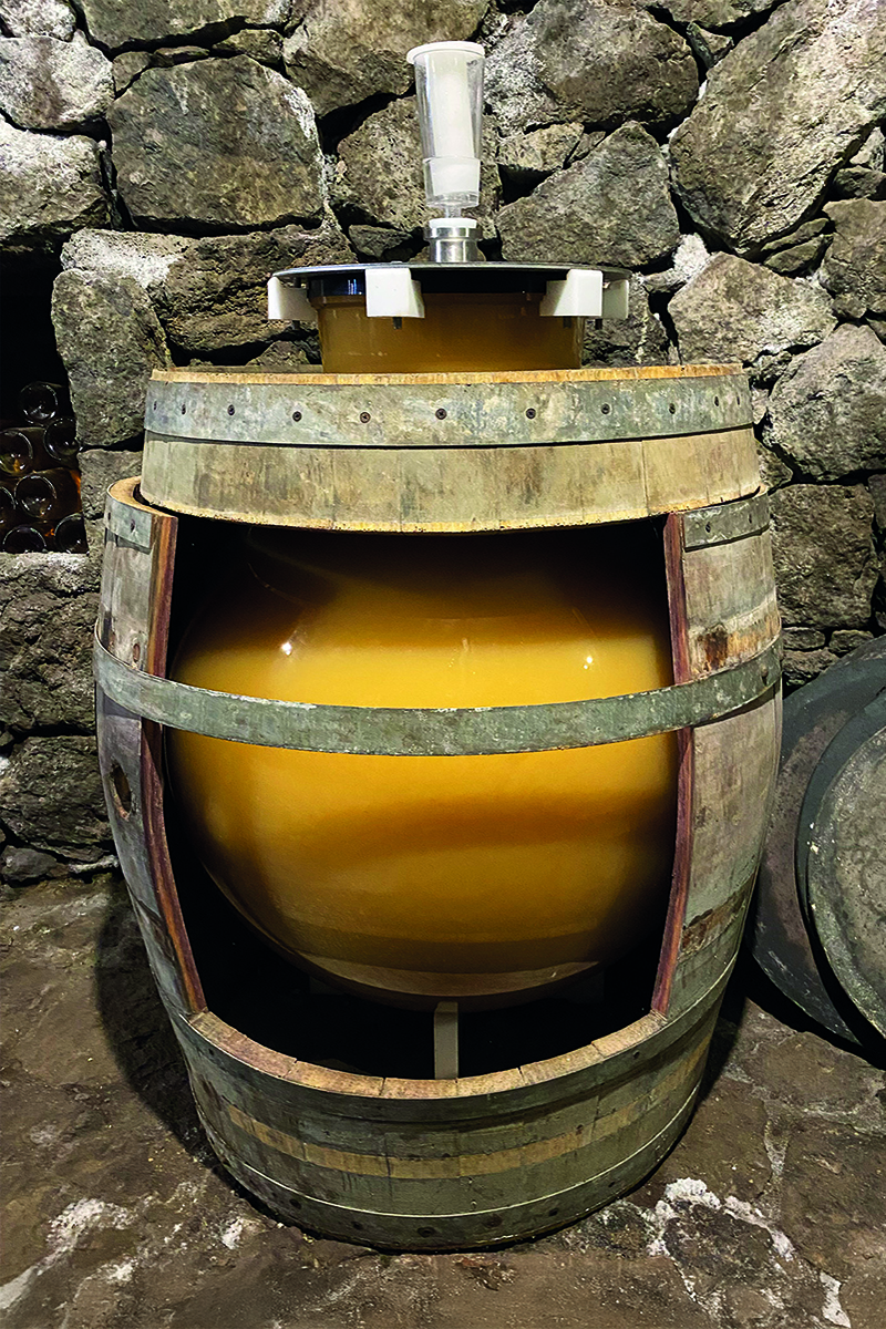 Wine fermenting in a Wineglobe