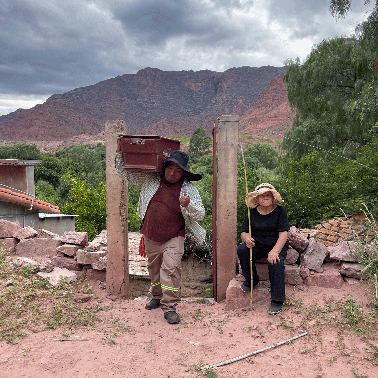 Harvest in the vineyard of Doña Lumen