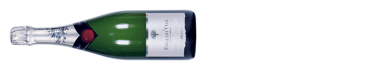 DWWA 2026 winner