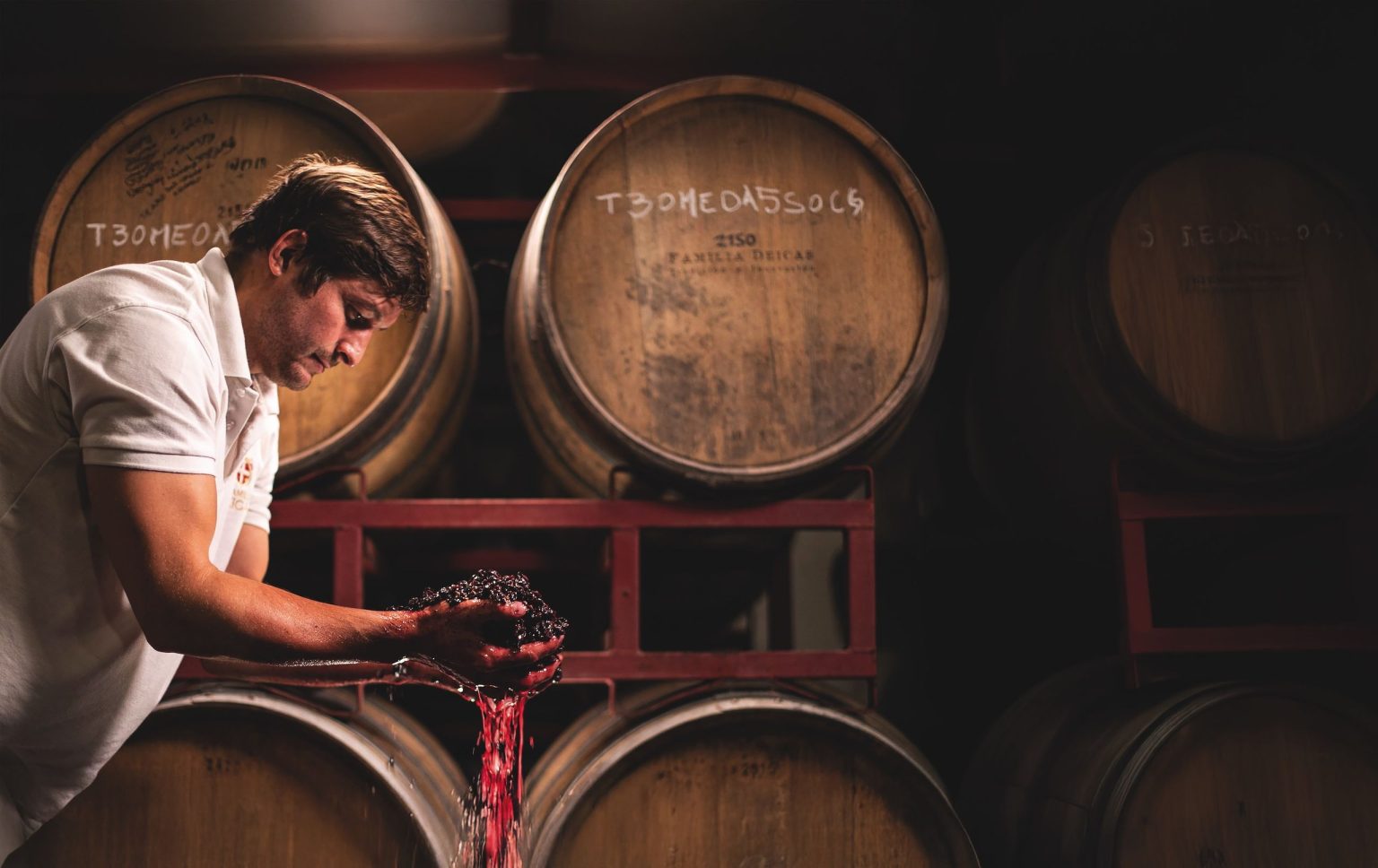 Blended Revolution: How South American winemakers find terroir expression through more than just one grape