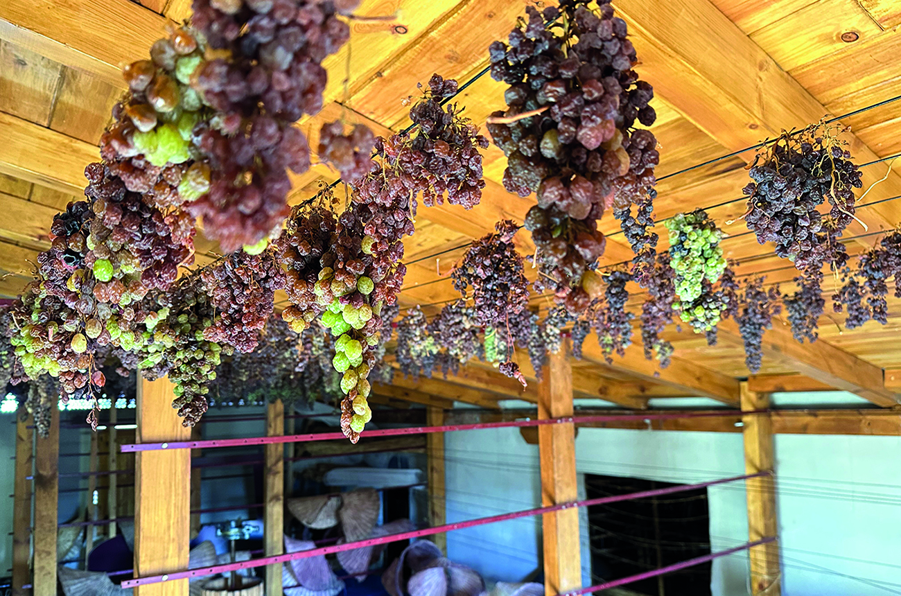 Grapes drying in a barn