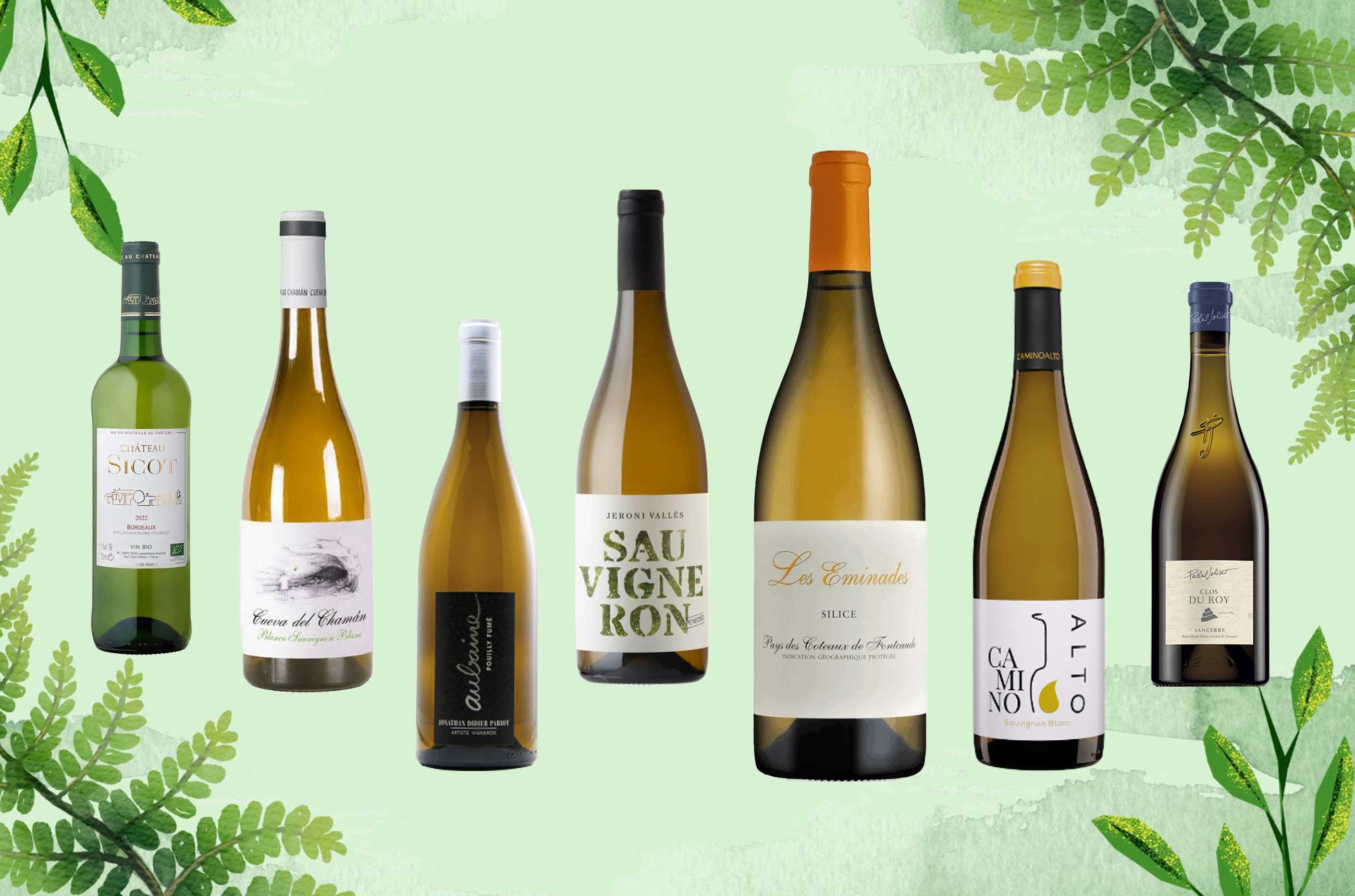 Sauvignon Blanc